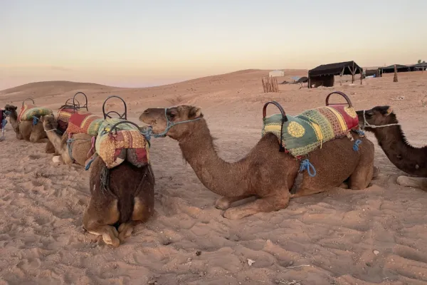 Désert d’Agafay au coucher du soleil depuis Marrakech