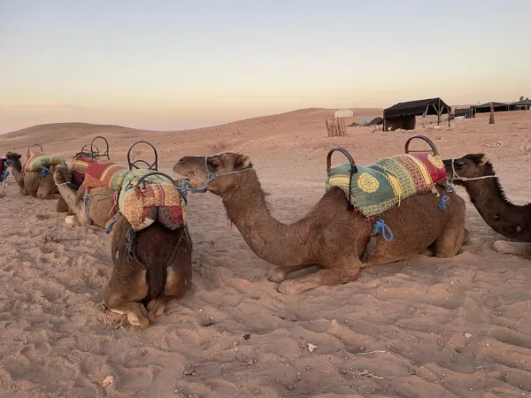Désert d’Agafay au coucher du soleil depuis Marrakech
