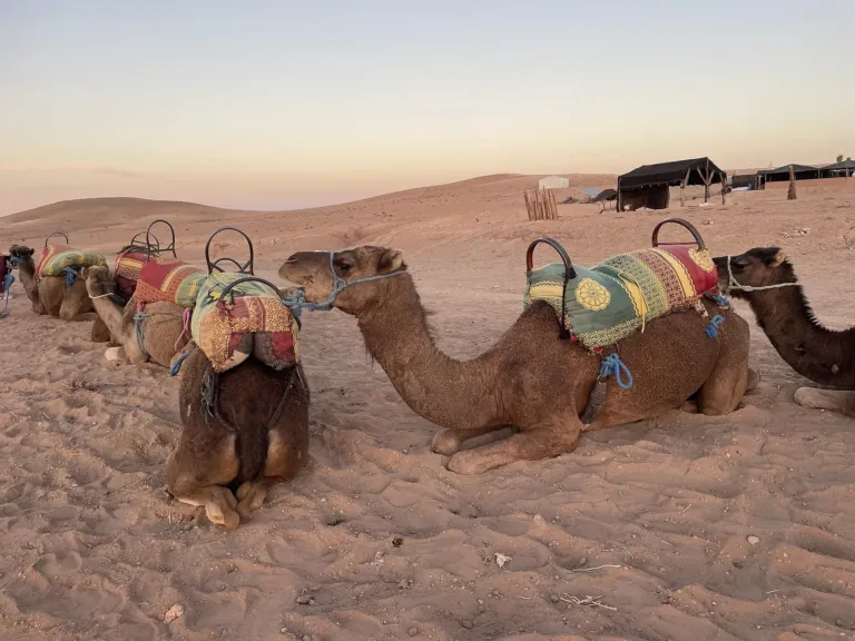 Désert d’Agafay au coucher du soleil depuis Marrakech