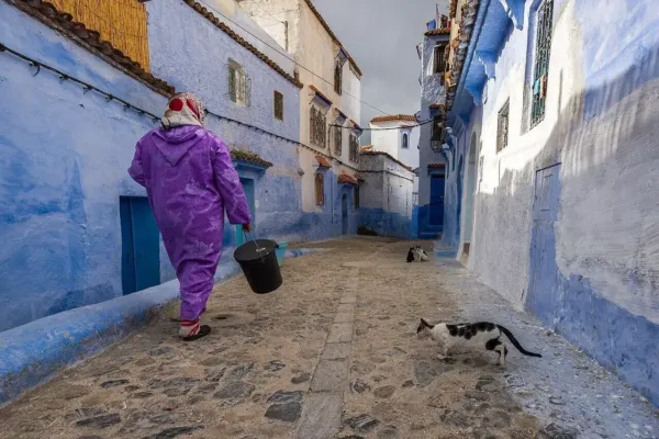 Excursion Tanger → Chefchaouen, la perle bleue