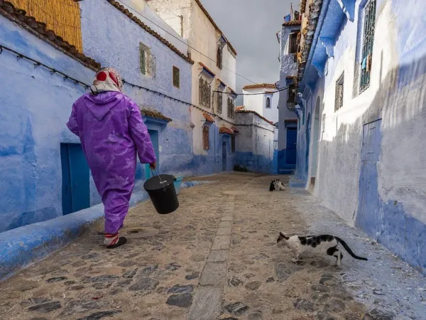 Excursion Tanger → Chefchaouen, la perle bleue