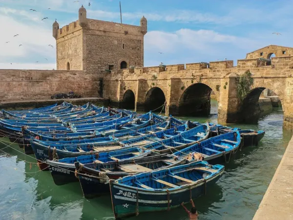Excursion d&rsquo;une journée Marrakech → Essaouira