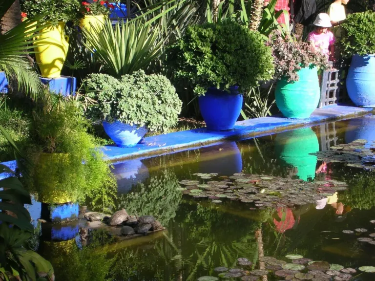 Bassin du jardin Majorelle, Marrakech